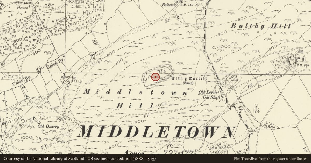 Ordnance Survey six-inch map, 2nd edition (1888–1913) covering the location of Cefn y Castell, Trewern, Powys, with a pin at the register's coordinates