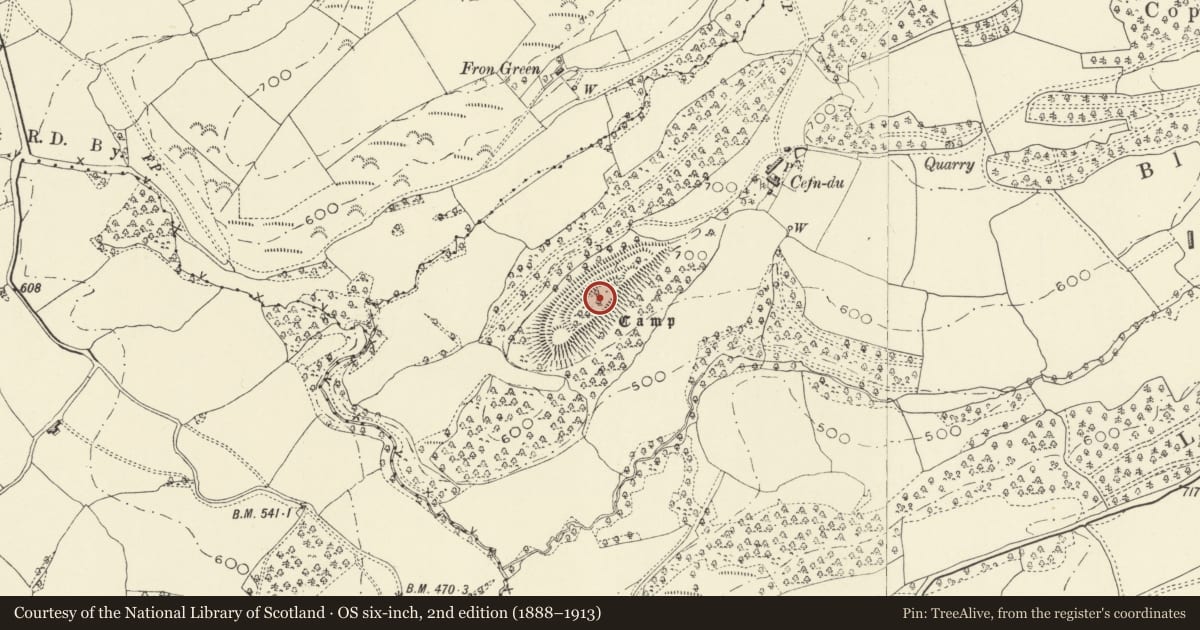 Ordnance Survey six-inch map, 2nd edition (1888–1913) covering the location of Cefn-Du Camp, Guilsfield, Powys, with a pin at the register's coordinates