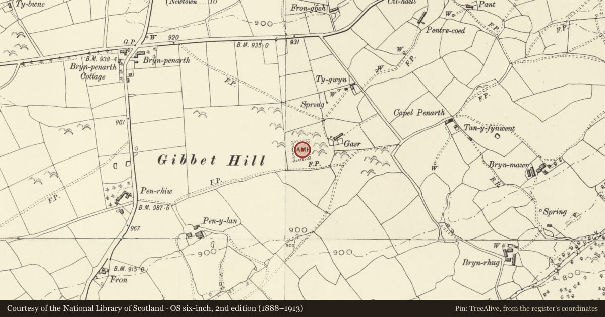 Ordnance Survey six-inch map, 2nd edition (1888–1913) covering the location of Gaer Roman Site, Llanfair Caereinion, Powys, with a pin at the register's coordinates