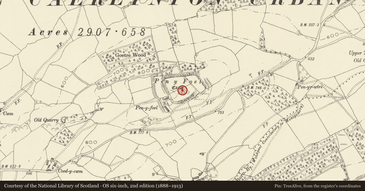 Ordnance Survey six-inch map, 2nd edition (1888–1913) covering the location of Pen y Foel Camp, Castle Caereinion, Powys, with a pin at the register's coordinates