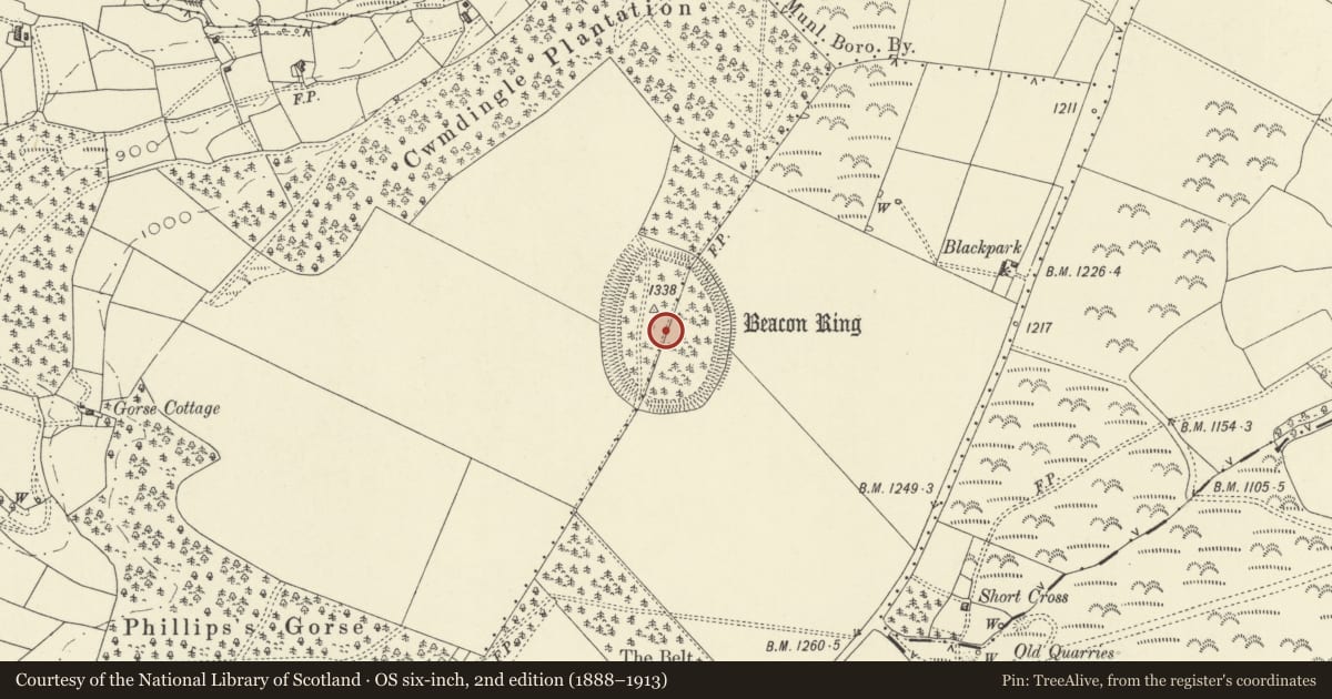 Ordnance Survey six-inch map, 2nd edition (1888–1913) covering the location of Beacon Ring Camp (Caer Digoll), Forden with Leighton and Trelystan, Powys, with a pin at the register's coordinates