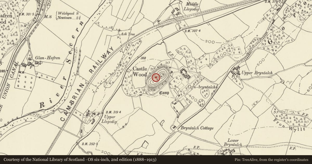 Ordnance Survey six-inch map, 2nd edition (1888–1913) covering the location of Cefn Bryntalch Mound & Bailey Castle, Llandyssil, Powys, with a pin at the register's coordinates