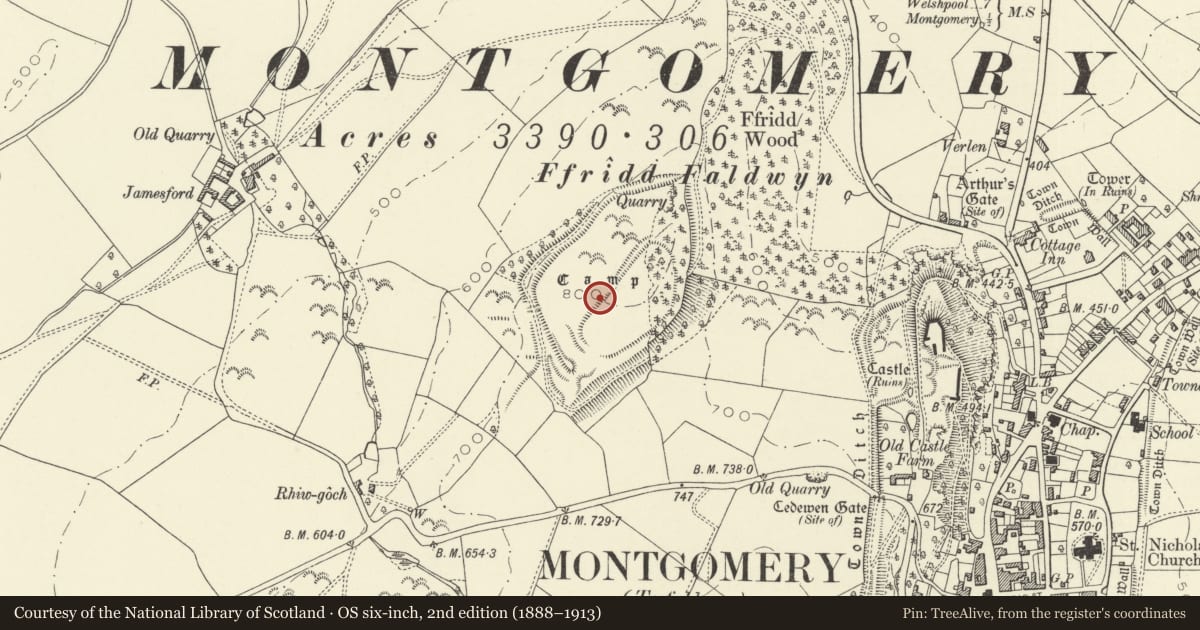 Ordnance Survey six-inch map, 2nd edition (1888–1913) covering the location of Ffridd Faldwyn Camp, Montgomery, Powys, with a pin at the register's coordinates