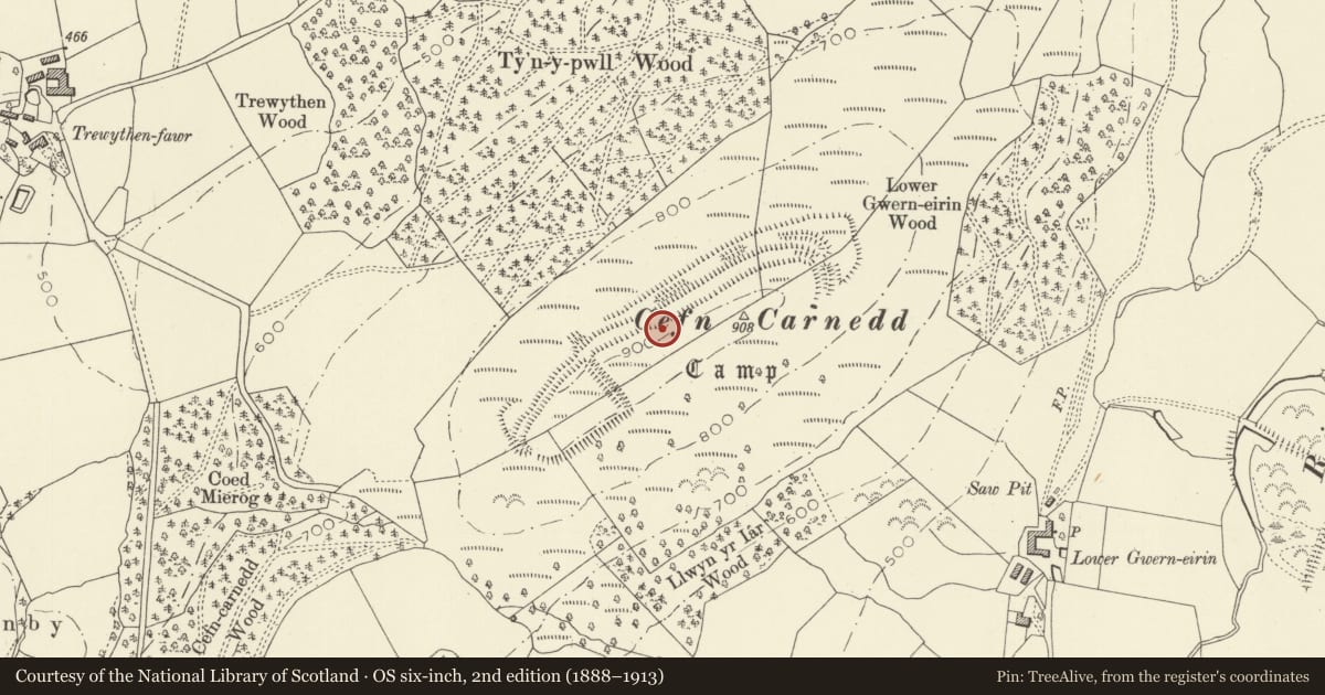 Ordnance Survey six-inch map, 2nd edition (1888–1913) covering the location of Cefn Carnedd Camp, Llandinam, Powys, with a pin at the register's coordinates