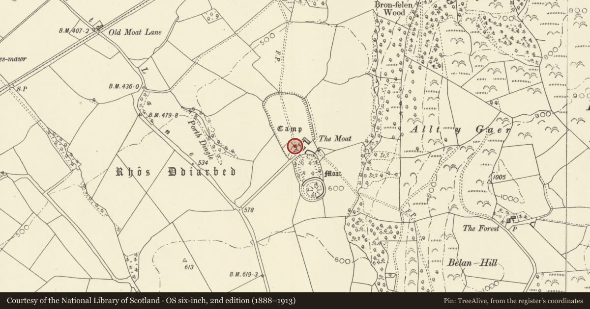 Ordnance Survey six-inch map, 2nd edition (1888–1913) covering the location of The Moat Mound & Bailey Castle, Llandinam, Powys, with a pin at the register's coordinates