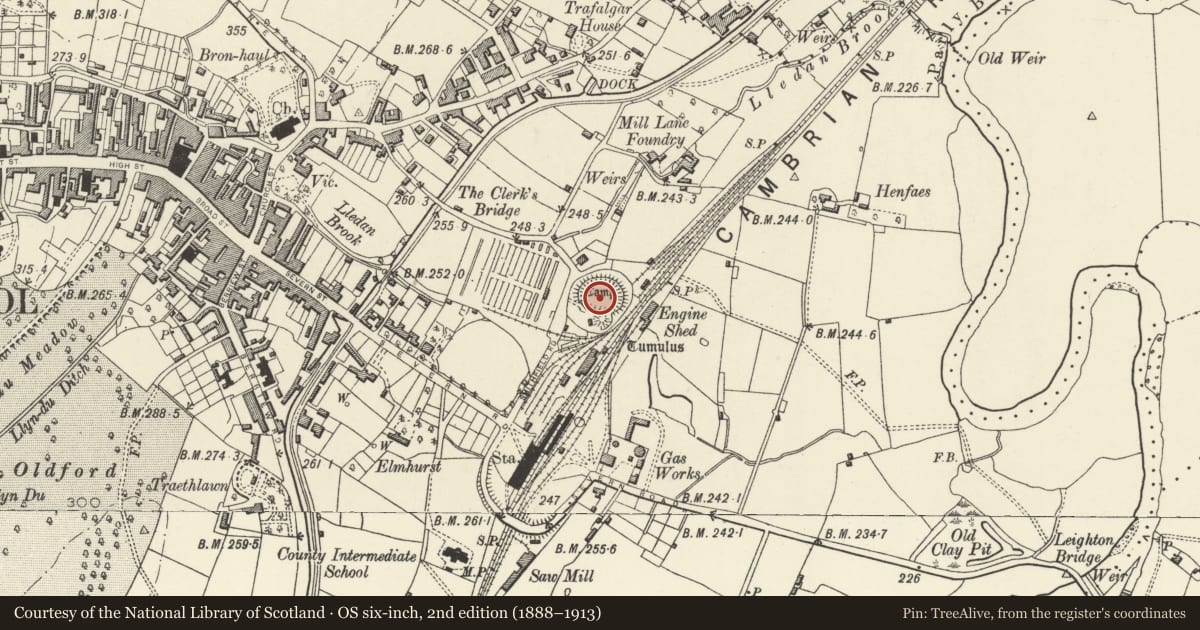 Ordnance Survey six-inch map, 2nd edition (1888–1913) covering the location of Domen Castell Mound and Bailey Castle, Welshpool, Powys, with a pin at the register's coordinates
