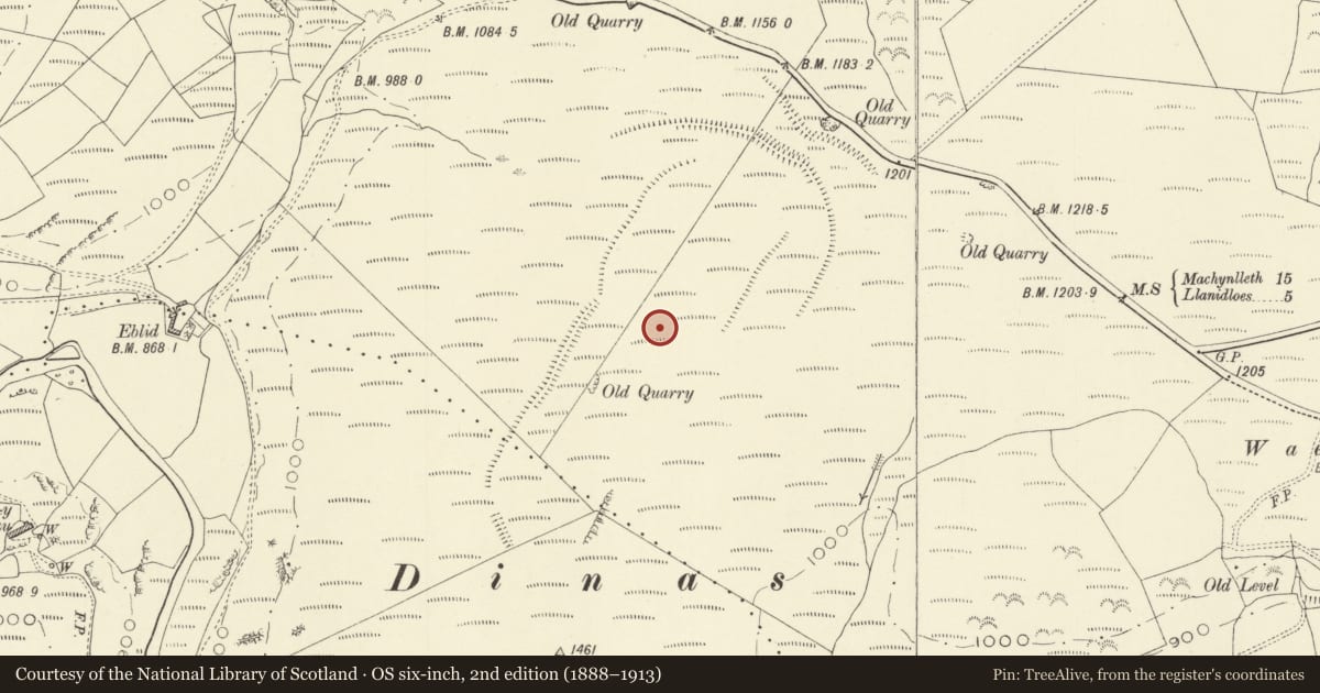 Ordnance Survey six-inch map, 2nd edition (1888–1913) covering the location of Dinas Camp, Trefeglwys, Powys, with a pin at the register's coordinates