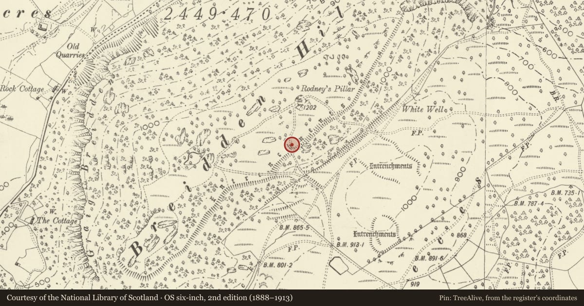 Ordnance Survey six-inch map, 2nd edition (1888–1913) covering the location of Breidden Hill Camp, Bausley with Criggion, Powys, with a pin at the register's coordinates