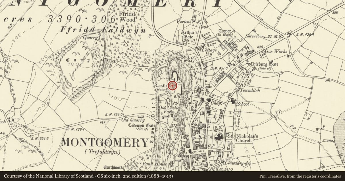 Ordnance Survey six-inch map, 2nd edition (1888–1913) covering the location of Montgomery Castle, Powys, with a pin at the register's coordinates