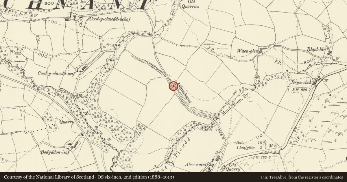 Ordnance Survey six-inch map, 2nd edition (1888–1913) covering the location of Aber-Naint Dyke, Llanfyllin, Powys, with a pin at the register's coordinates