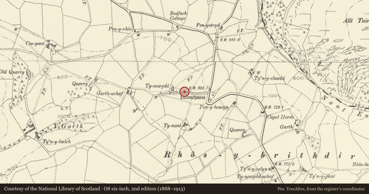 Ordnance Survey six-inch map, 2nd edition (1888–1913) covering the location of Ty-Newydd Dyke, Llanrhaeadr-ym-Mochnant, Powys, with a pin at the register's coordinates