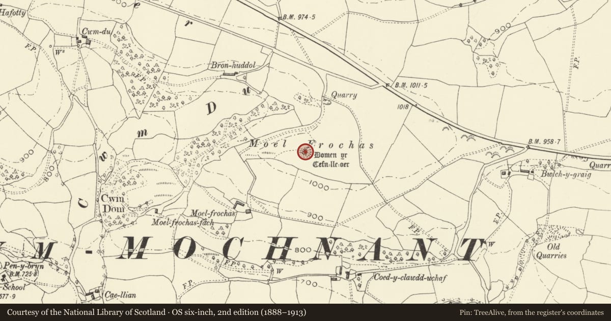 Ordnance Survey six-inch map, 2nd edition (1888–1913) covering the location of Tomen y Cefnlloer, Llanfyllin, Powys, with a pin at the register's coordinates