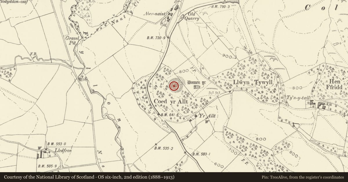 Ordnance Survey six-inch map, 2nd edition (1888–1913) covering the location of Tomen yr Allt Castle Mound, Llanfyllin, Powys, with a pin at the register's coordinates