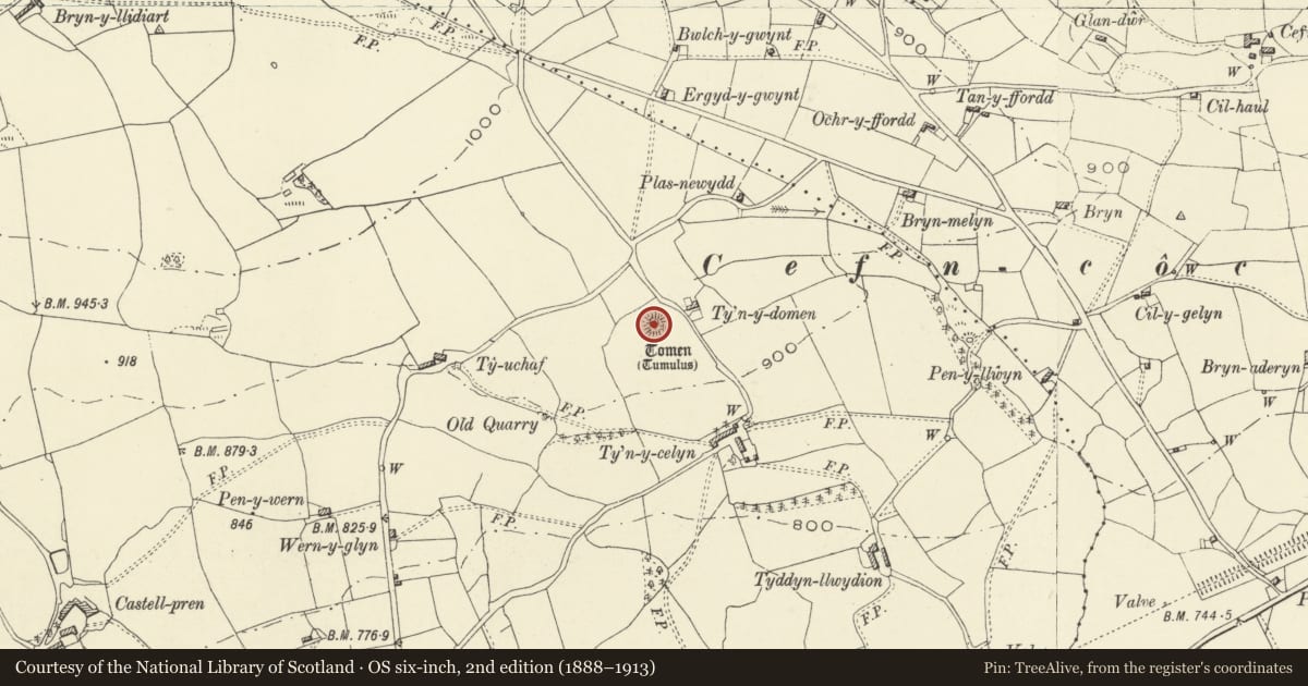Ordnance Survey six-inch map, 2nd edition (1888–1913) covering the location of Ty'n-y-Celyn Castle Mound, Llanrhaeadr-ym-Mochnant, Powys, with a pin at the register's coordinates