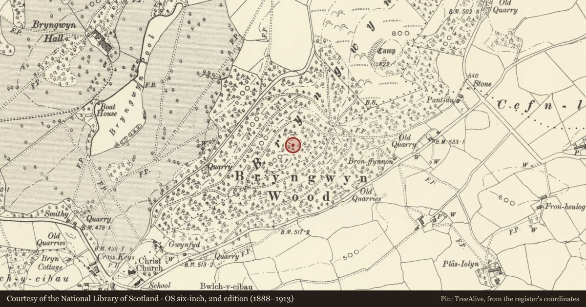 Ordnance Survey six-inch map, 2nd edition (1888–1913) covering the location of Bryngwyn Wood Camp, Meifod, Powys, with a pin at the register's coordinates