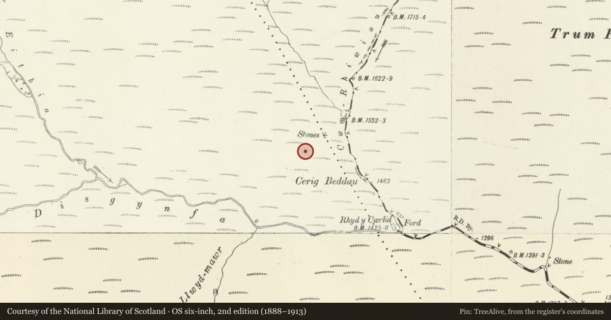 Ordnance Survey six-inch map, 2nd edition (1888–1913) covering the location of Rhos-y-Beddau Stone Circle, Avenue and Cairn, Llanrhaeadr-ym-Mochnant, Powys, with a pin at the register's coordinates