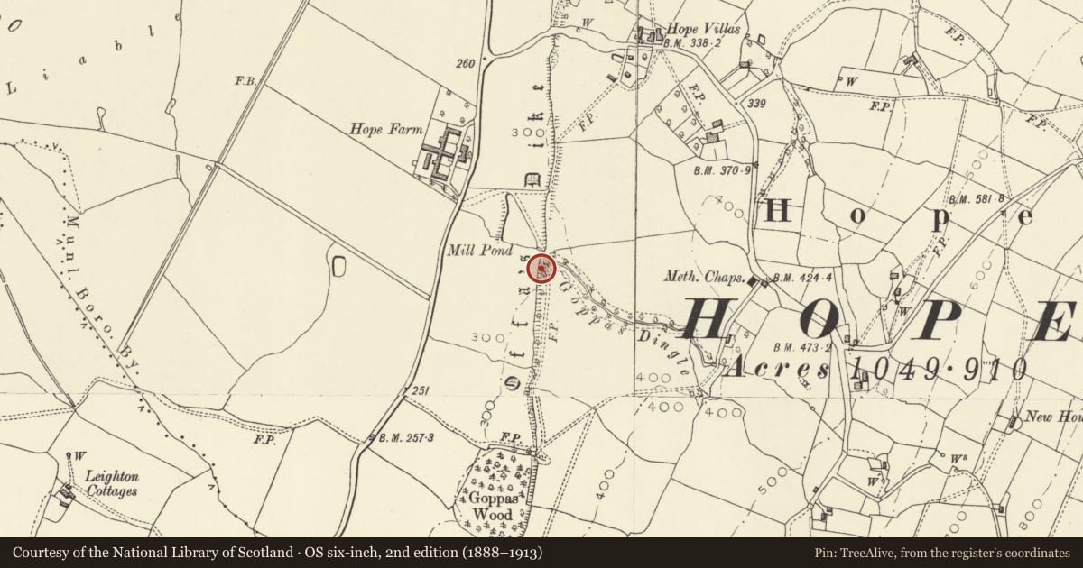 Ordnance Survey six-inch map, 2nd edition (1888–1913) covering the location of Offa's Dyke: Section extending 760m N from centre of Goppas Wood to Hope By-Road, Trewern, Powys, with a pin at the register's coordinates