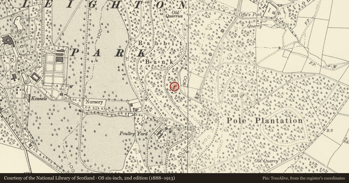Ordnance Survey six-inch map, 2nd edition (1888–1913) covering the location of Offa's Dyke: Section from North Lodge, Leighton Park to Old Quarry S of Green Wood, Forden with Leighton and Trelystan, Powys, with a pin at the register's coordinates