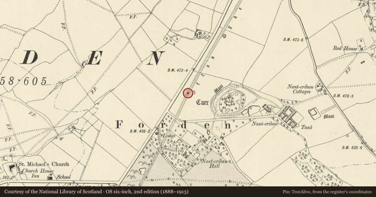 Ordnance Survey six-inch map, 2nd edition (1888–1913) covering the location of Offa's Dyke: Section from point 90m S of Chirbury Road to S Boundary of Nant-Cribau Park, Forden with Leighton and Trelystan, Powys, with a pin at the register's coordinates