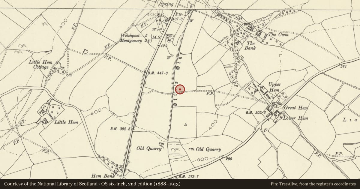 Ordnance Survey six-inch map, 2nd edition (1888–1913) covering the location of Offa's Dyke: Section from Cwm By-Road to Hem Road, Forden with Leighton and Trelystan, Powys, with a pin at the register's coordinates