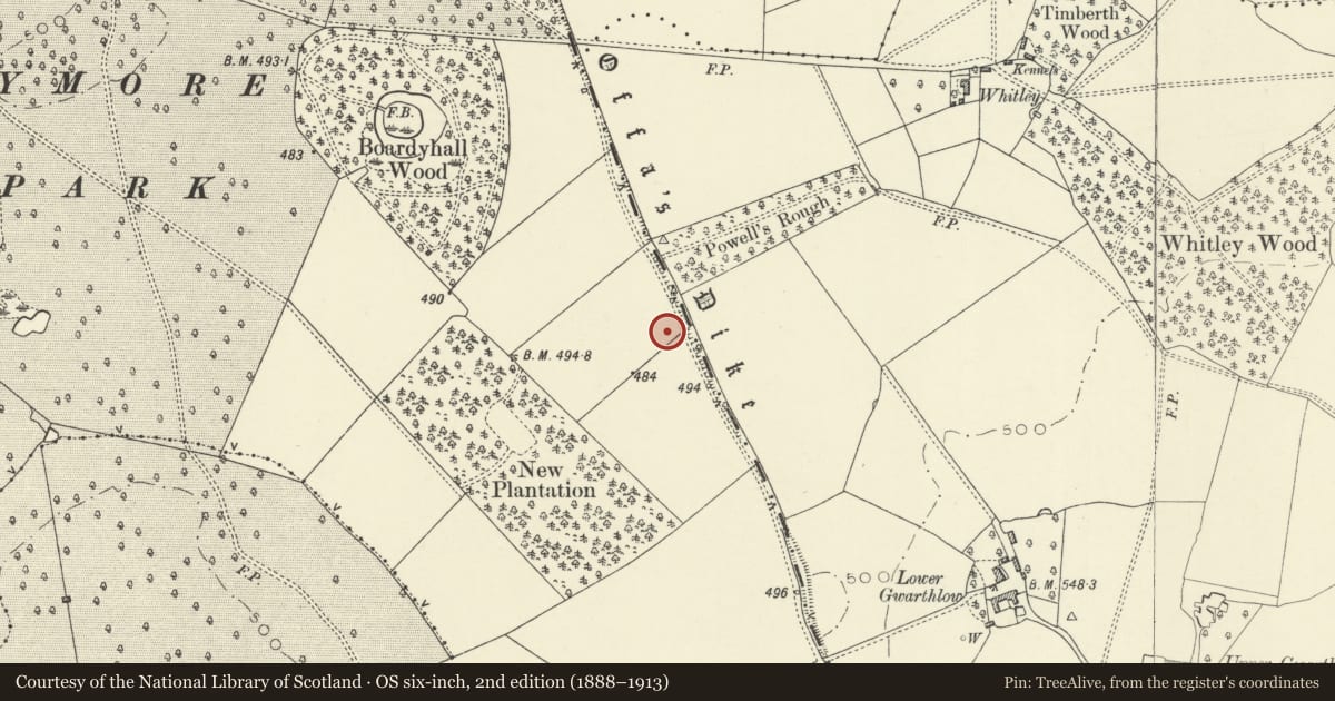 Ordnance Survey six-inch map, 2nd edition (1888–1913) covering the location of Offa's Dyke: Section from Dudston Covert, Lymore to Lack Brook, Churchstoke, Montgomery, Powys, with a pin at the register's coordinates