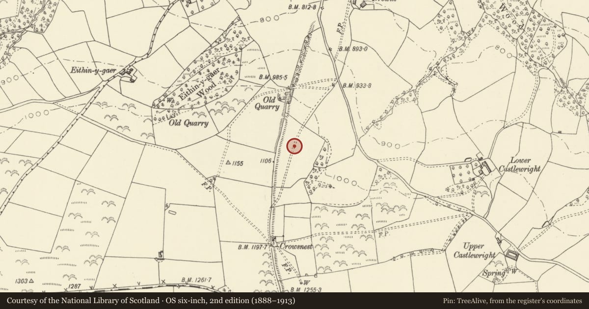 Ordnance Survey six-inch map, 2nd edition (1888–1913) covering the location of Offa's Dyke: Section from Road Junction near Drewin to County Boundary, Churchstoke, Powys, with a pin at the register's coordinates