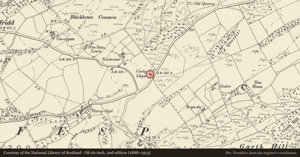 Ordnance Survey six-inch map, 2nd edition (1888–1913) covering the location of Careg Lwyd 800m ESE of Bwlch-y-Ffridd, Aberhafesp, Powys, with a pin at the register's coordinates