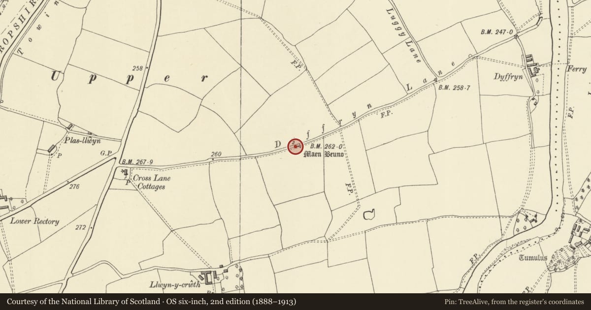 Ordnance Survey six-inch map, 2nd edition (1888–1913) covering the location of Maen Beuno, Berriew, Powys, with a pin at the register's coordinates