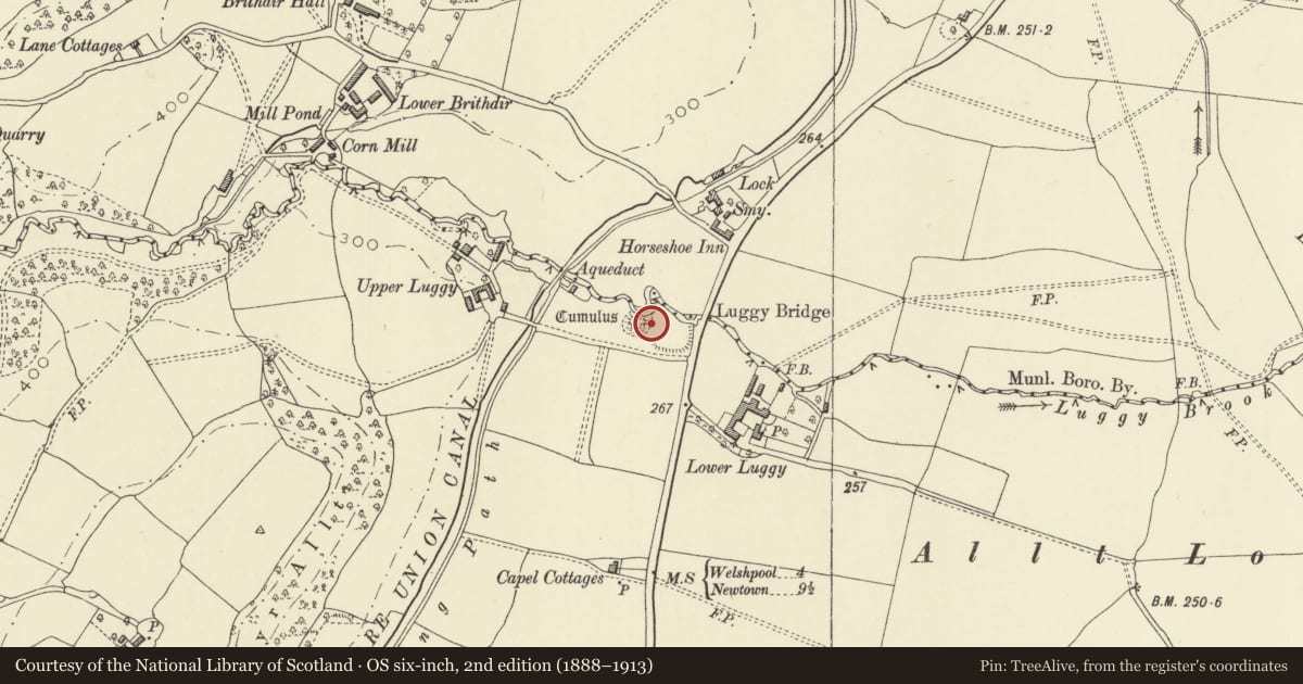 Ordnance Survey six-inch map, 2nd edition (1888–1913) covering the location of Mound & Bailey Castle, Berriew, Powys, with a pin at the register's coordinates