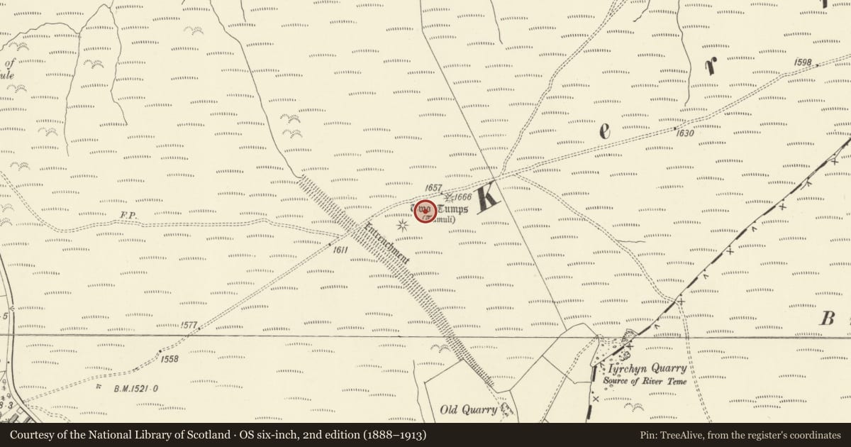 Ordnance Survey six-inch map, 2nd edition (1888–1913) covering the location of Two Tumps Round Barrows, Kerry, Powys, with a pin at the register's coordinates