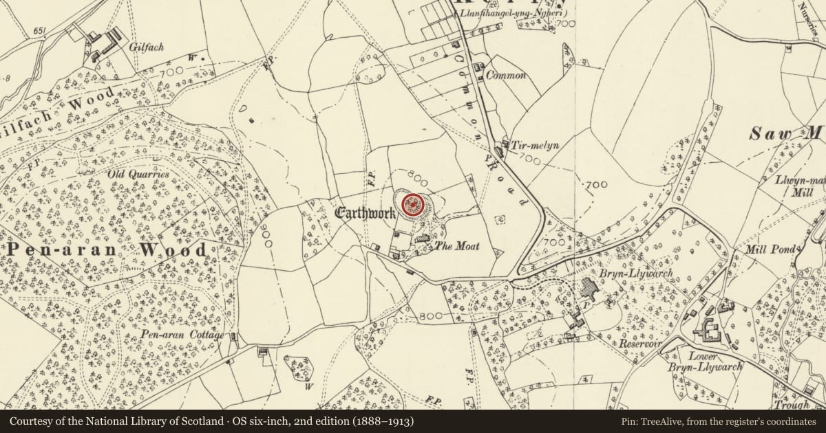 Ordnance Survey six-inch map, 2nd edition (1888–1913) covering the location of The Moat Mound and Bailey Castle, Kerry, Powys, with a pin at the register's coordinates