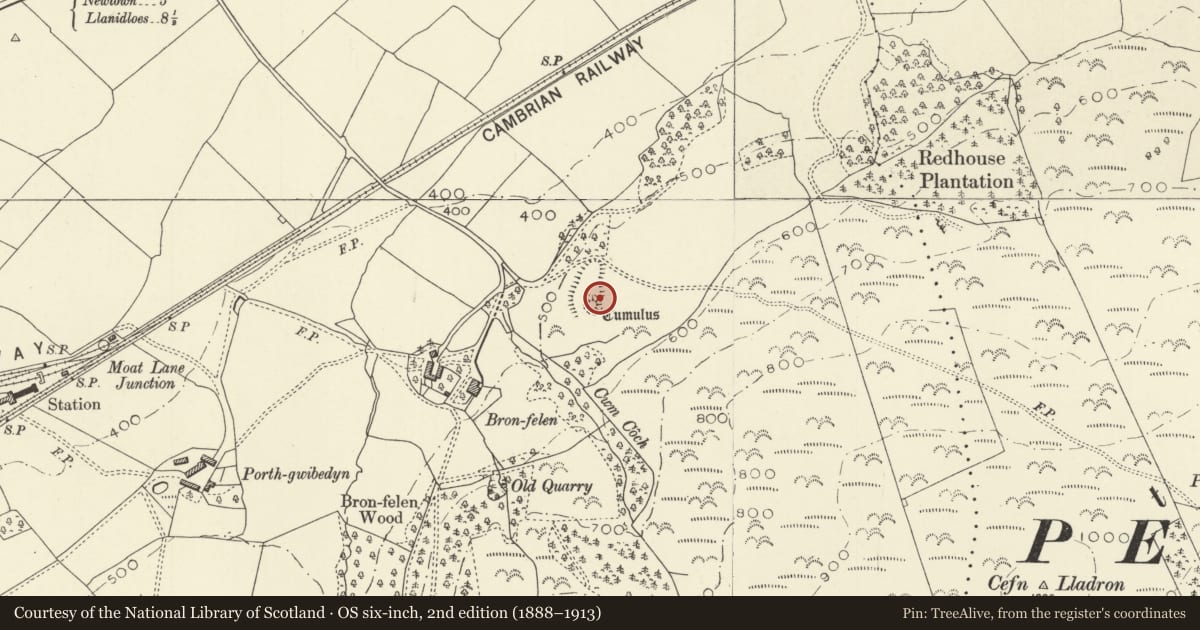 Ordnance Survey six-inch map, 2nd edition (1888–1913) covering the location of Bron-Felin Mound & Bailey Castle, Llandinam, Powys, with a pin at the register's coordinates