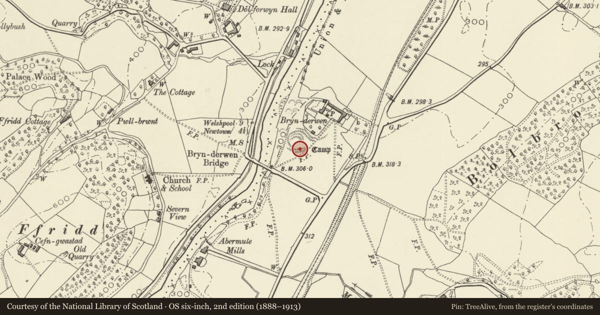 Ordnance Survey six-inch map, 2nd edition (1888–1913) covering the location of Bryn-Derwen Mound and Bailey Castle, Llandyssil, Powys, with a pin at the register's coordinates