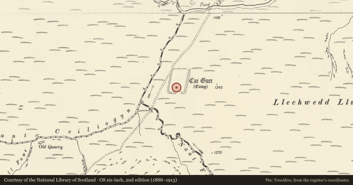 Ordnance Survey six-inch map, 2nd edition (1888–1913) covering the location of Cae Gaer, Llangurig, Powys, with a pin at the register's coordinates