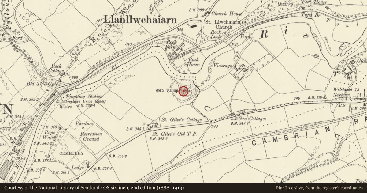 Ordnance Survey six-inch map, 2nd edition (1888–1913) covering the location of Gro Tump Mound & Bailey Castle, Newtown and Llanllwchaiarn, Powys, with a pin at the register's coordinates