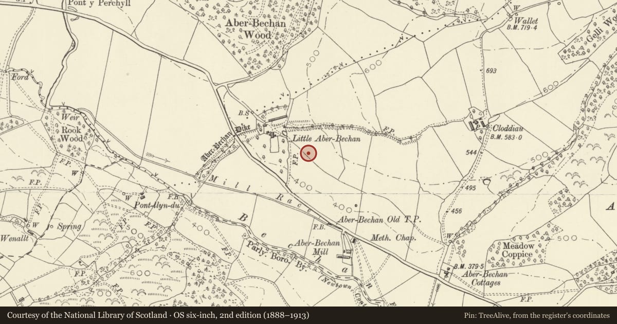 Ordnance Survey six-inch map, 2nd edition (1888–1913) covering the location of Aber Bechan Dyke, Llandyssil, Powys, with a pin at the register's coordinates