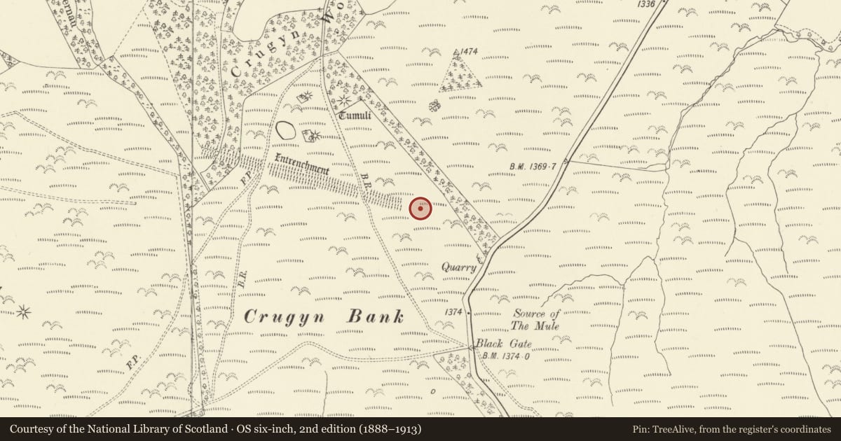 Ordnance Survey six-inch map, 2nd edition (1888–1913) covering the location of Crugyn Bank Dyke, Kerry, Powys, with a pin at the register's coordinates