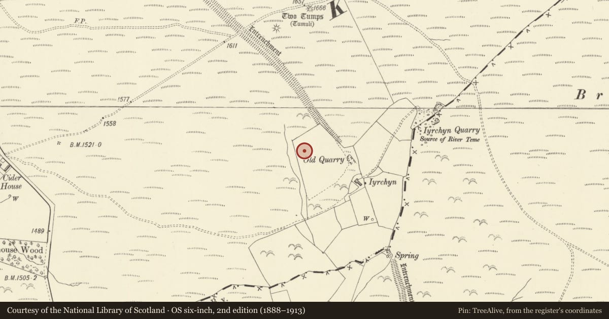 Ordnance Survey six-inch map, 2nd edition (1888–1913) covering the location of Dyke Near Two Tumps, Kerry, Powys, with a pin at the register's coordinates