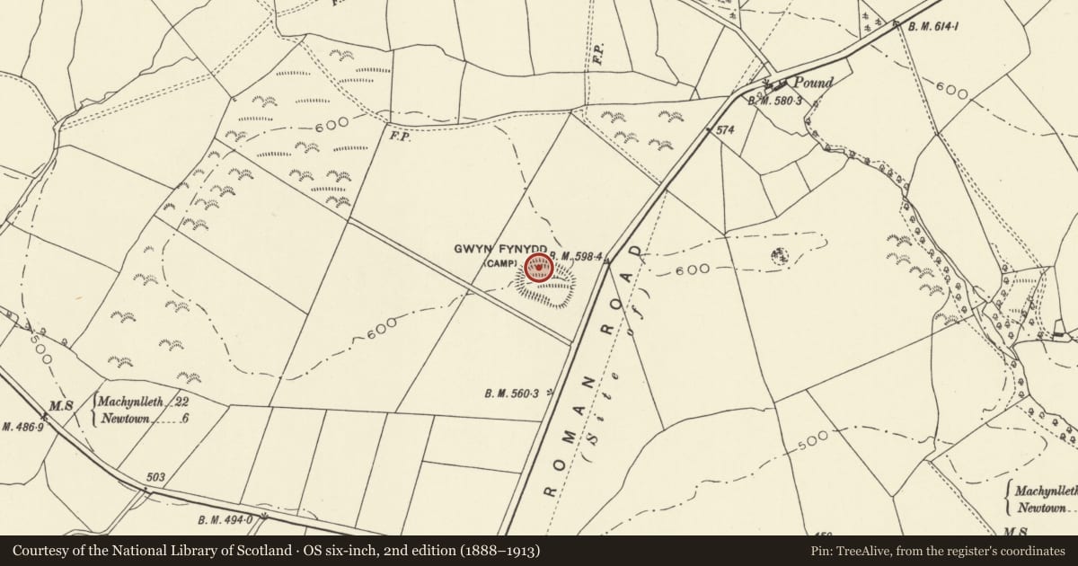 Ordnance Survey six-inch map, 2nd edition (1888–1913) covering the location of Gwyn Fynydd Camp, Caersws, Powys, with a pin at the register's coordinates