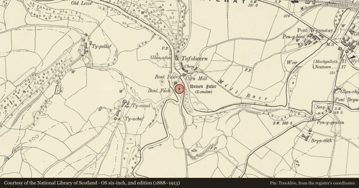 Ordnance Survey six-inch map, 2nd edition (1888–1913) covering the location of Domen Fawr Castle Mound Tafolwern, Llanbrynmair, Powys, with a pin at the register's coordinates