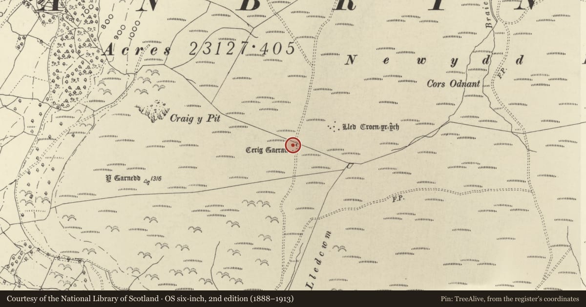 Ordnance Survey six-inch map, 2nd edition (1888–1913) covering the location of Ceffig Caerau Stone Circle, Llanbrynmair, Powys, with a pin at the register's coordinates