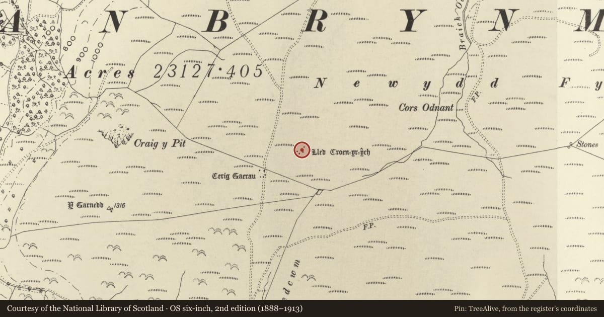 Ordnance Survey six-inch map, 2nd edition (1888–1913) covering the location of Lled Croen-yr-Ych Stone Circle, Llanbrynmair, Powys, with a pin at the register's coordinates