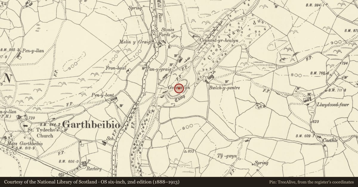Ordnance Survey six-inch map, 2nd edition (1888–1913) covering the location of Gogerddan Camp, Banwy, Powys, with a pin at the register's coordinates