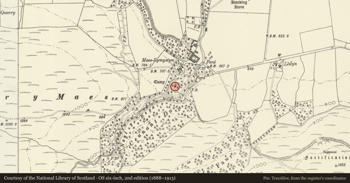 Ordnance Survey six-inch map, 2nd edition (1888–1913) covering the location of Maes Llymystyn Camp, Banwy, Powys, with a pin at the register's coordinates