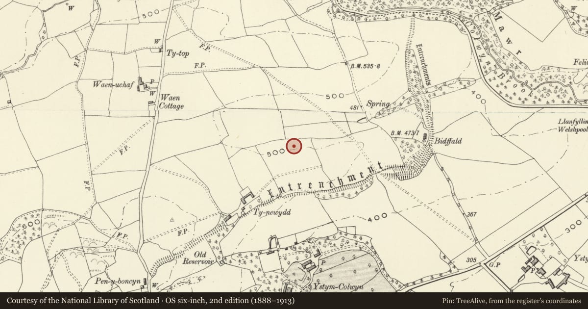 Ordnance Survey six-inch map, 2nd edition (1888–1913) covering the location of Bwlch-y-Cibau Dyke, Meifod, Powys, with a pin at the register's coordinates