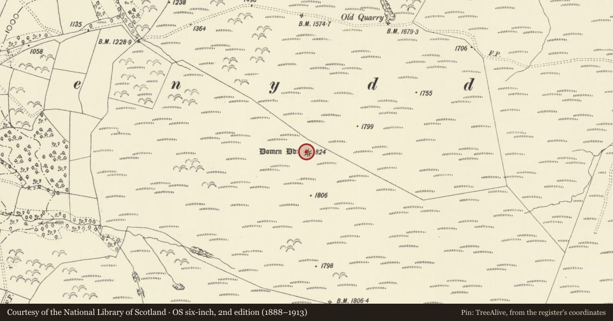 Ordnance Survey six-inch map, 2nd edition (1888–1913) covering the location of Domen Ddu Round Barrow, Llandinam, Powys, with a pin at the register's coordinates