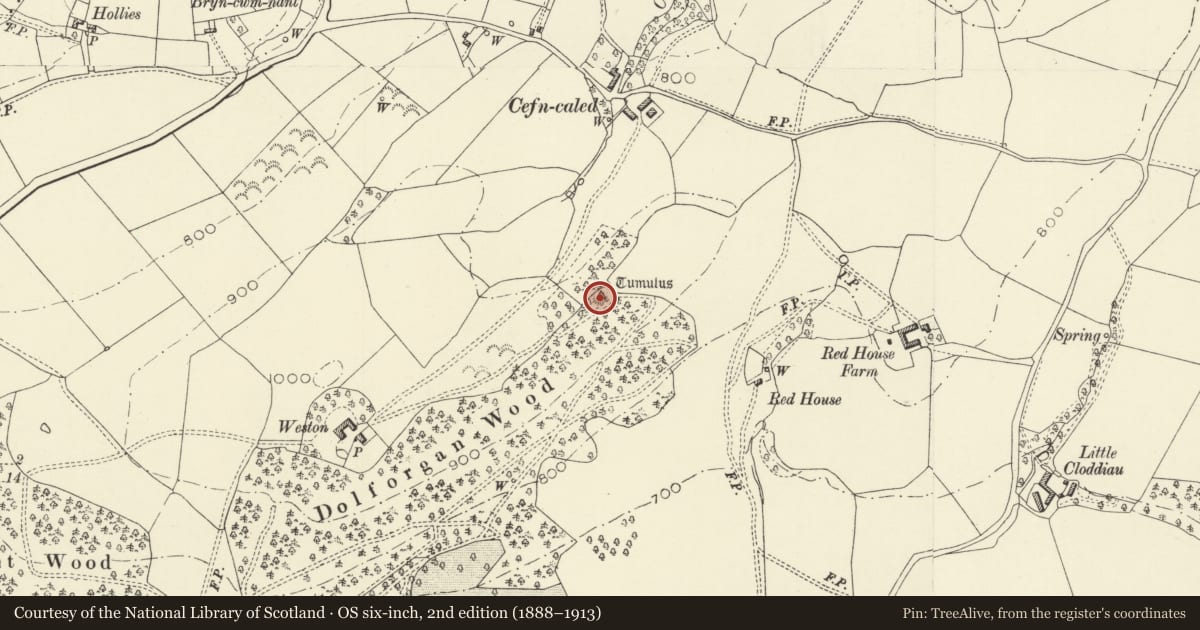 Ordnance Survey six-inch map, 2nd edition (1888–1913) covering the location of Tomen Madoc Castle Mound, Kerry, Powys, with a pin at the register's coordinates