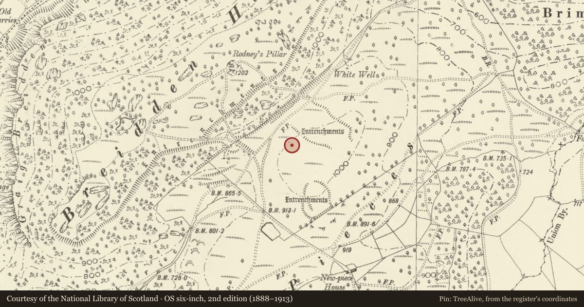 Ordnance Survey six-inch map, 2nd edition (1888–1913) covering the location of Camp & Fields on New Pieces, Breiddin Hill, Bausley with Criggion, Powys, with a pin at the register's coordinates