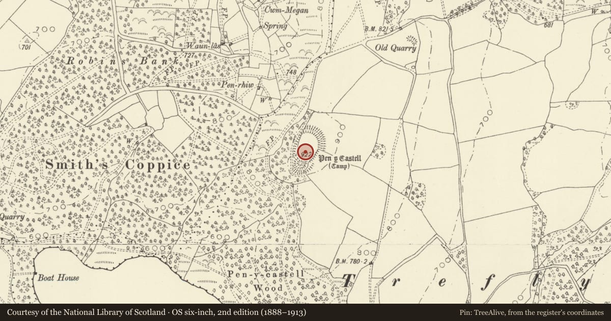 Ordnance Survey six-inch map, 2nd edition (1888–1913) covering the location of Pen y Castell Mound & Bailey Castle, Llanidloes Without, Powys, with a pin at the register's coordinates