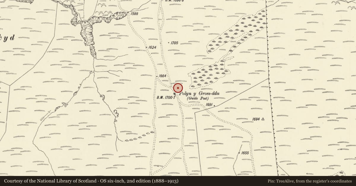 Ordnance Survey six-inch map, 2nd edition (1888–1913) covering the location of Polyn y Groes-Ddu Round Barrow, Waun Lluest Owain, Llandinam, Powys, with a pin at the register's coordinates
